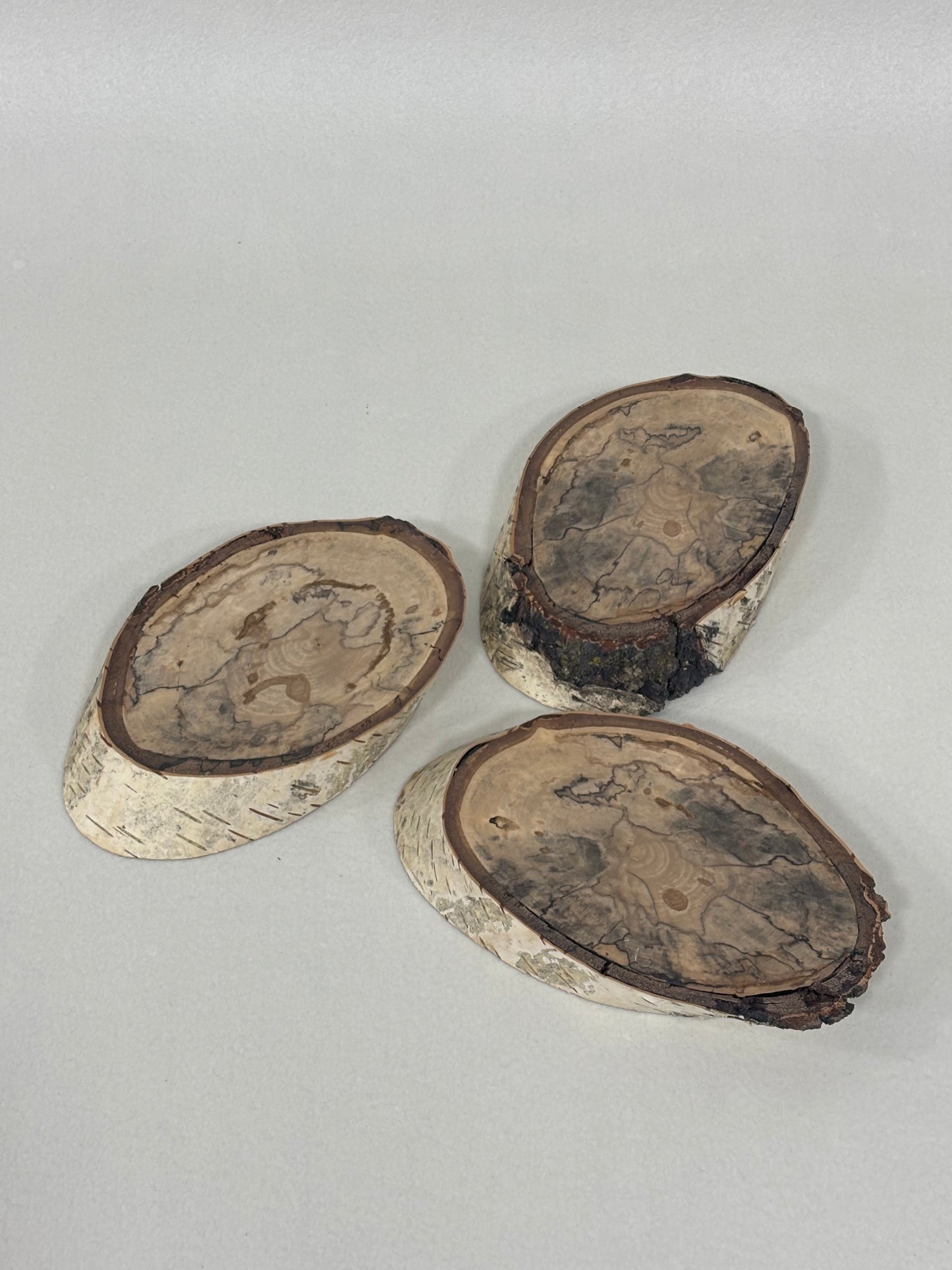 Coasters Spalted Birch Set of 3