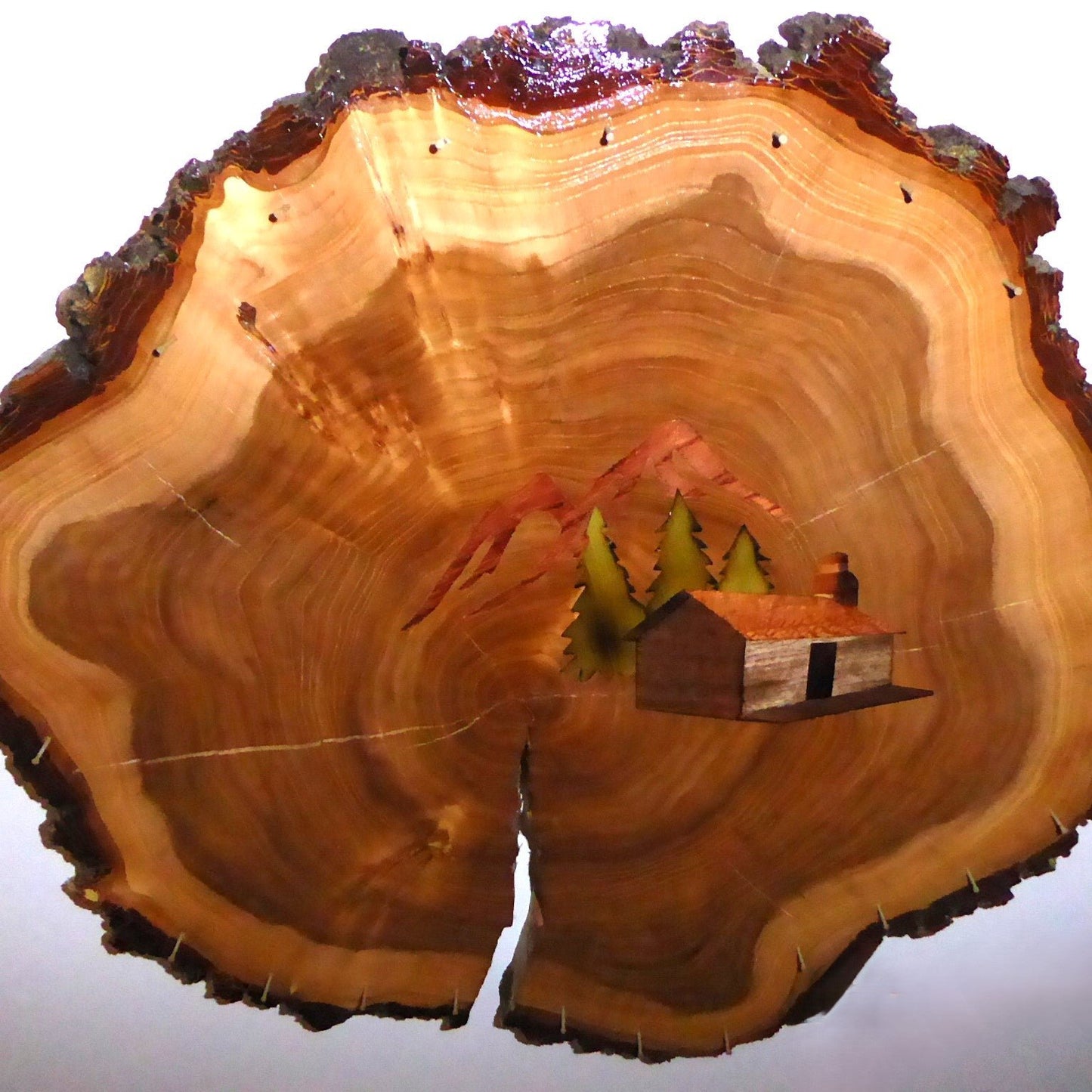Plaque Stump Round