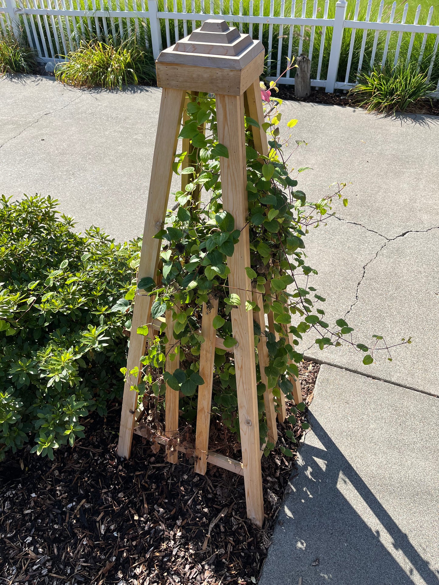 Lighthouse Trellis