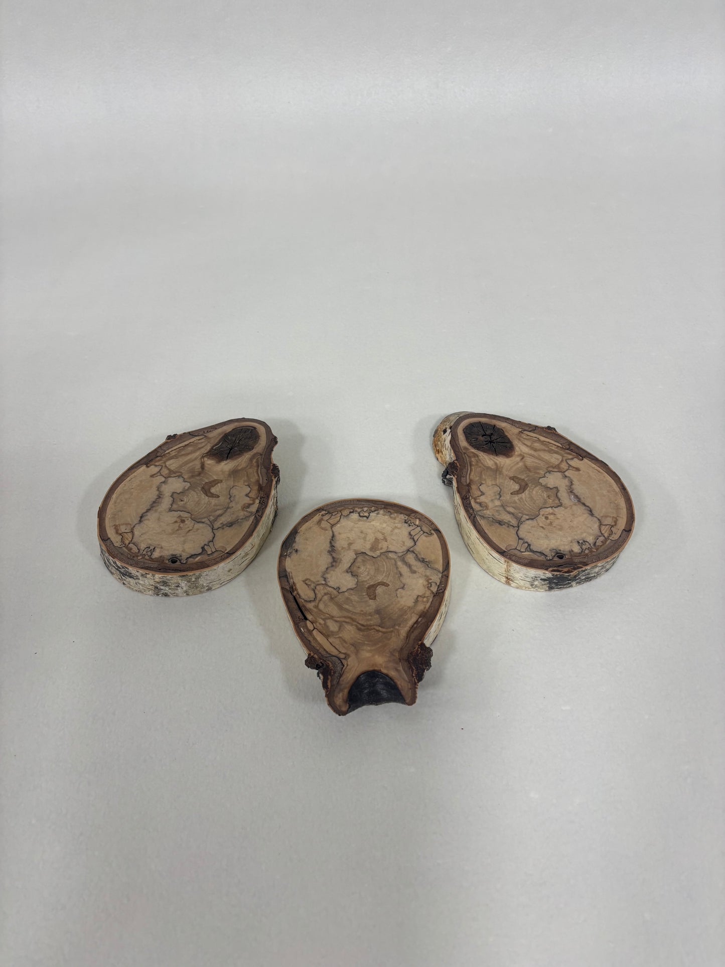 Coasters Spalted Birch Set of 3