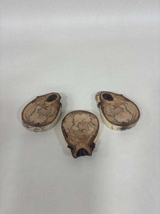 Coasters Spalted Birch Set of 3